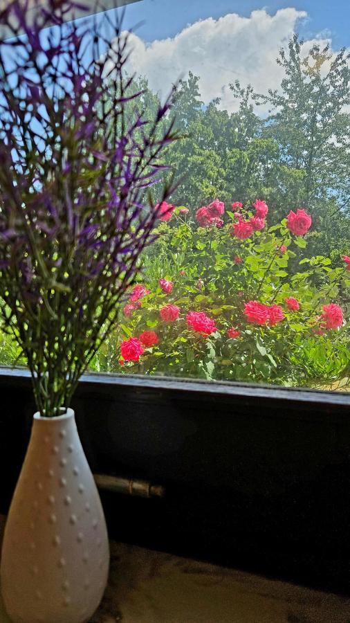 Ferienwohnung Rodder Maar Niederzissen Exteriör bild
