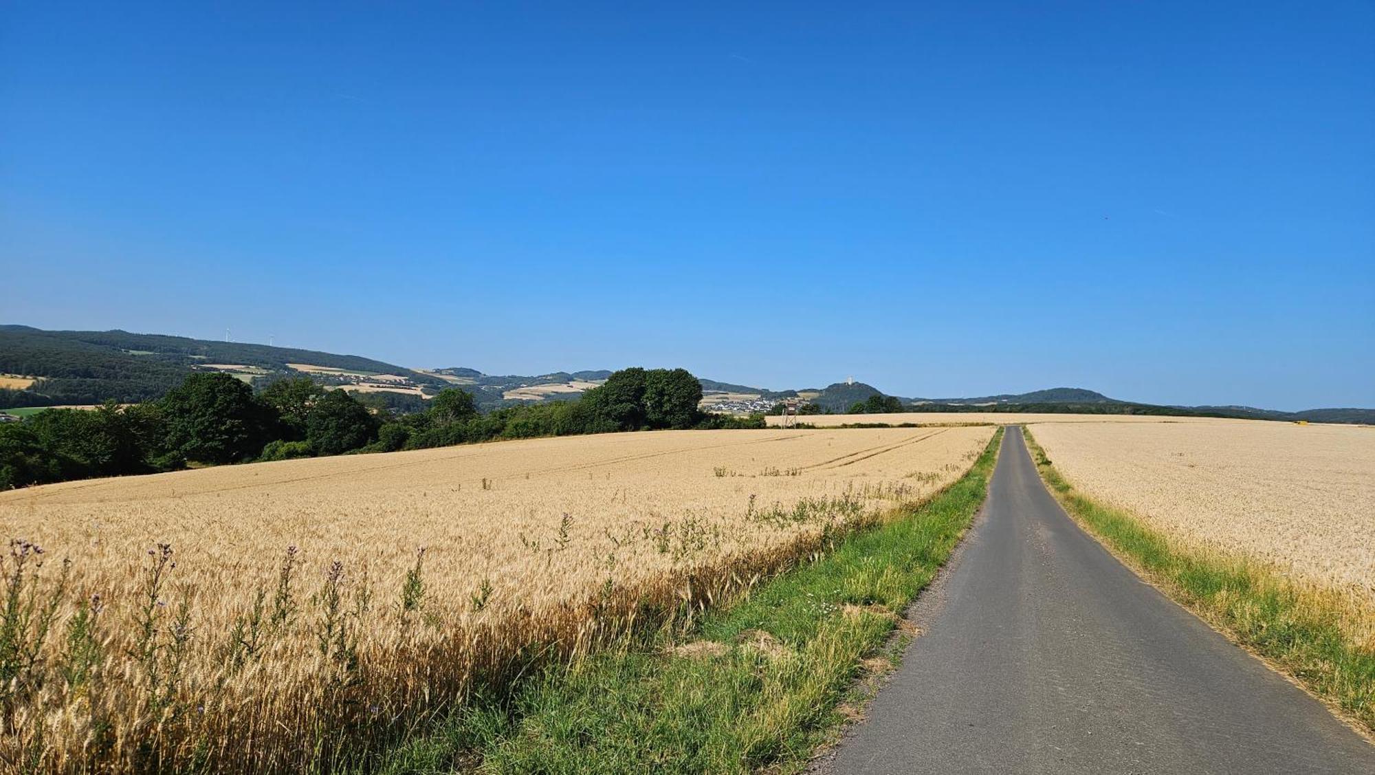 Ferienwohnung Rodder Maar Niederzissen Exteriör bild